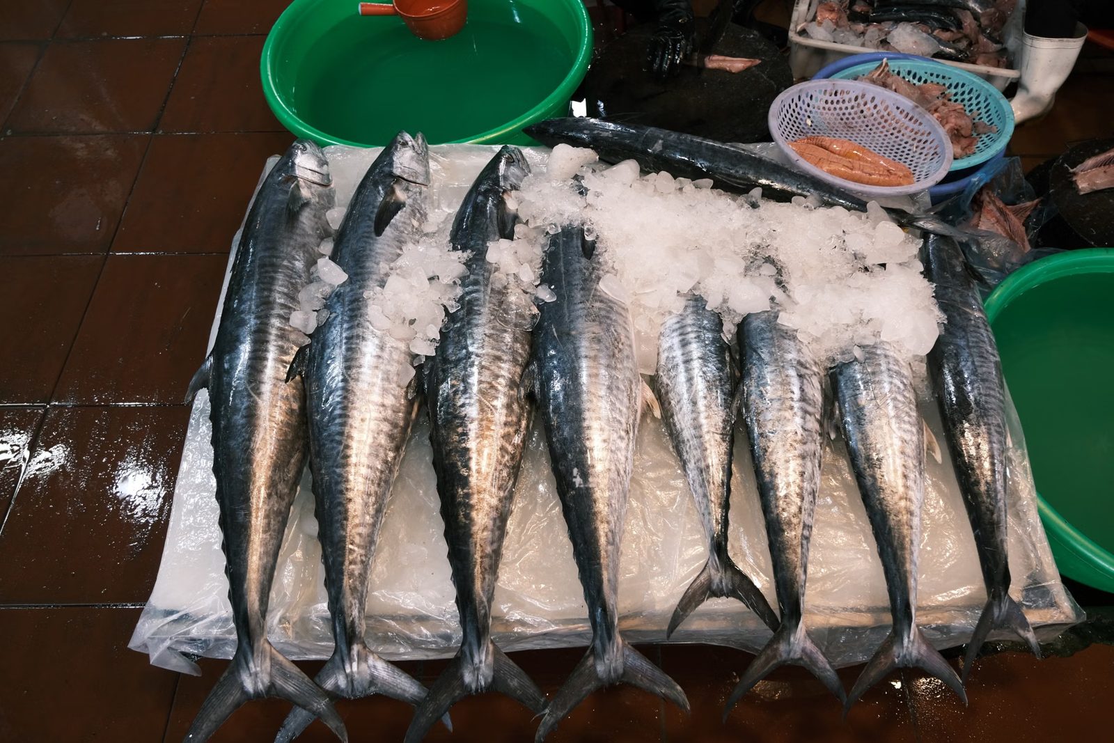 市場內冰上的魚類